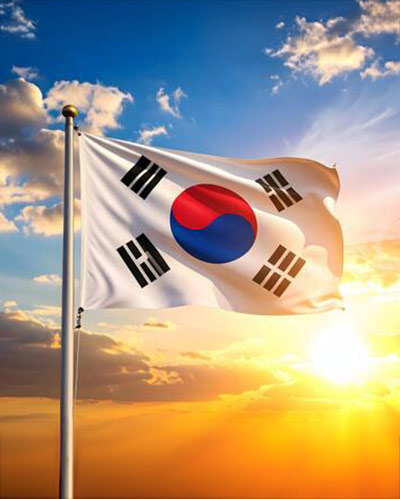 Panadvert Korea
