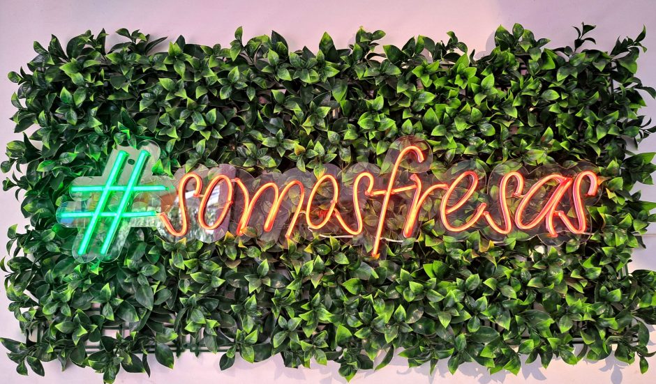 White,Wall,With,Green,Platters,With,The,Hashtag,”we,Are White,Wall,With,Green,Platters,With,The,Hashtag,"we,Are